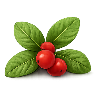 Wintergreen Oil
