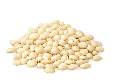 Sesame Oil